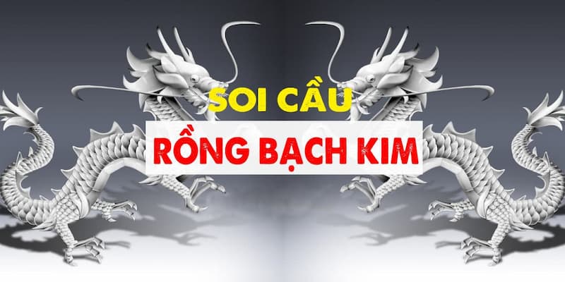 Bongvip